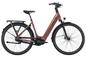Gå til El Dame Cykel kategorien