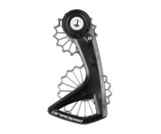 CeramicSpeed OSPW RS 3D Titanium SRAM RedD1/E1 Force D1 v2 Titanium