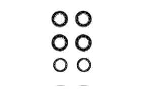 Scope Disc Leje Upgrade kit CeramicSpeed